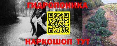 мдпв Славгород