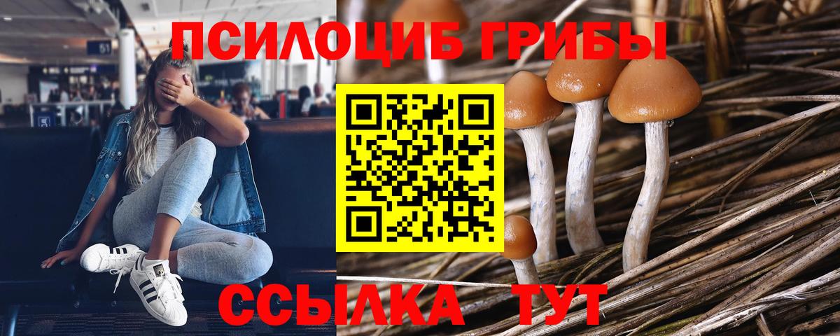 Галлюциногенные грибы мухоморы Симферополь